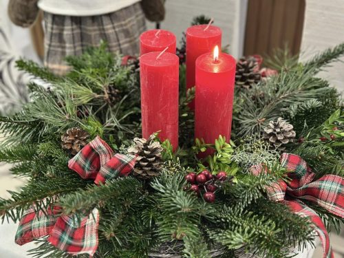 590024954 1425197919609959 7959351334809120249 n