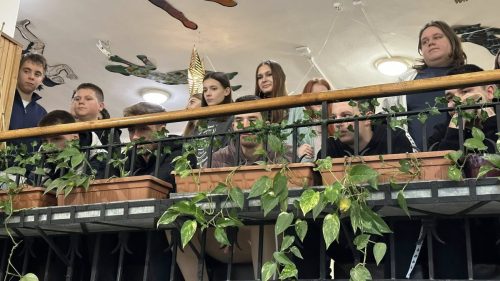 595897691 1432291308900620 5107697789826738795 n