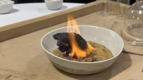 579606676 1411655434297541 2326555018611963344 n