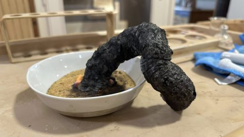 579990357 1411656150964136 585443787932435806 n