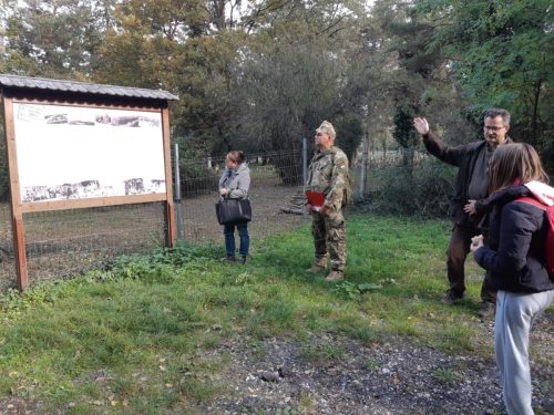 568971993 1391600372969714 4450187678765745021 n