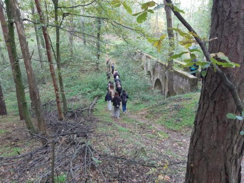 570133604 1391590926303992 6363444062974593137 n