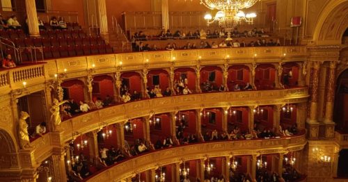 561370534 1387049060091512 2236739716001438191 n