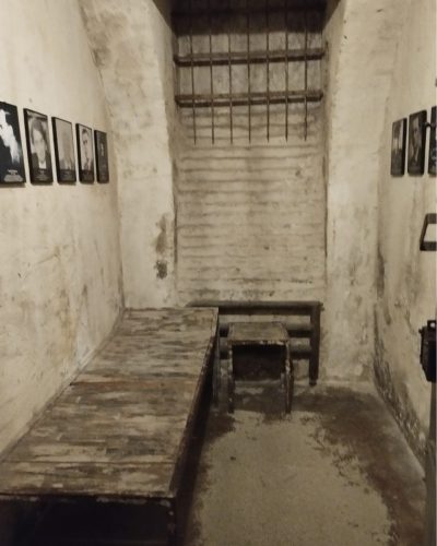 561050252 1386844226778662 4730847674298246453 n