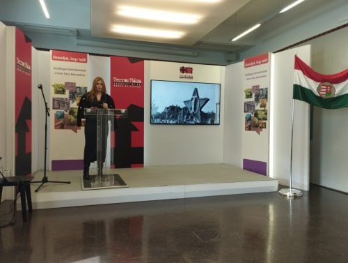 561065490 1386832666779818 3048696407680141670 n