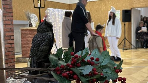 602318117 1442457564550661 4521356139971363309 n