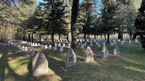 575087965 1405954084867676 3675486682473718818 n