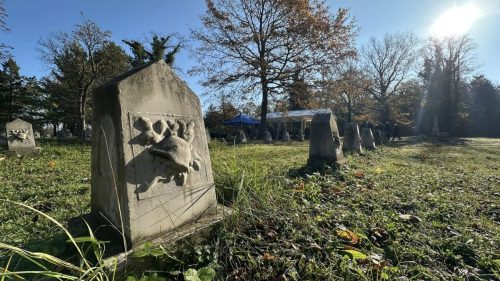 576643532 1405954194867665 4251637270890836436 n