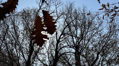 576807719 1405954151534336 5253403718851017488 n