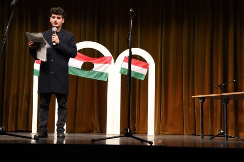 566209725 1391959026267182 756544931689082247 n