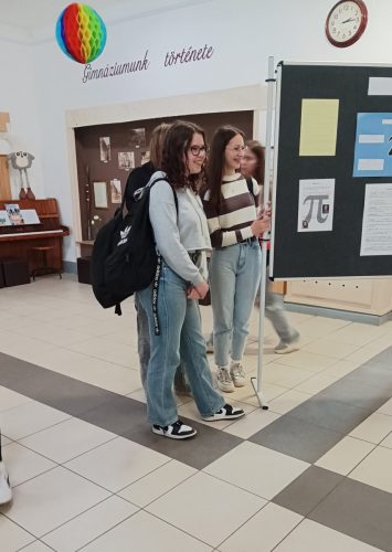 653702795 1519119700217780 21462104356927104 n