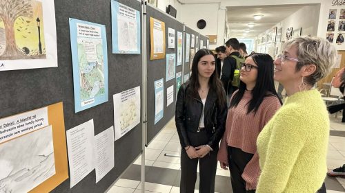 644803739 1507212121408538 272492200756117392 n